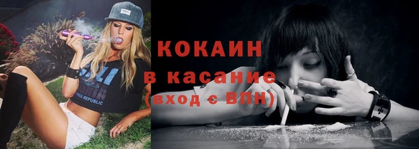 ГАЛЛЮЦИНОГЕННЫЕ ГРИБЫ Бородино
