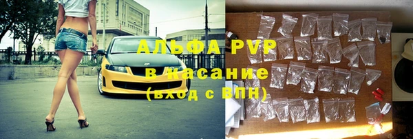 ГАЛЛЮЦИНОГЕННЫЕ ГРИБЫ Бородино