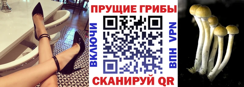 что такое наркотик  Нариманов  Галлюциногенные грибы Cubensis 